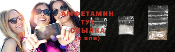 твердый Шадринск