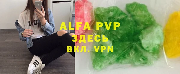 прущие грибы Шарыпово