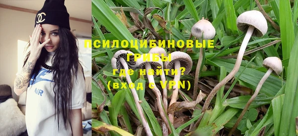 твердый Шадринск