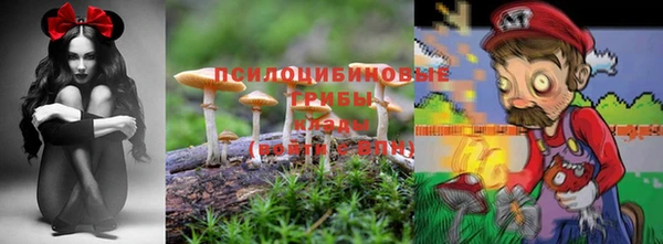 кокс Чегем