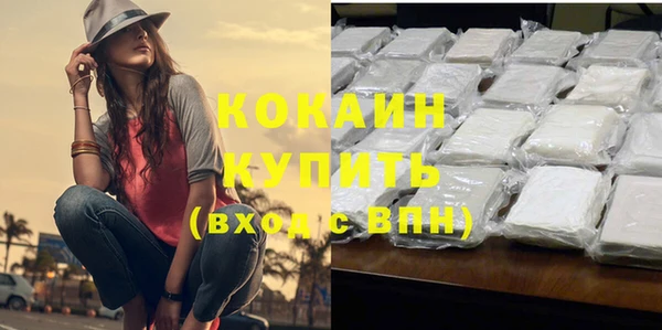 соль ск Чекалин